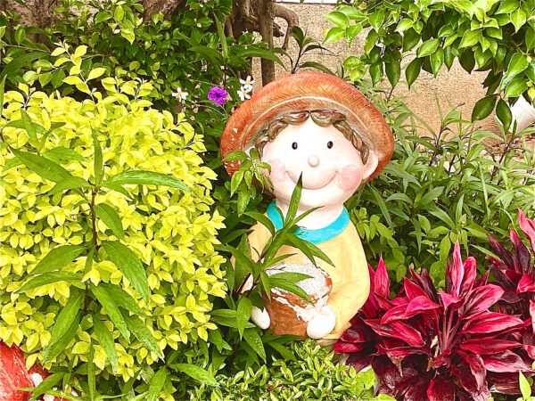 學生攝影作品欣賞：夏爾春曉