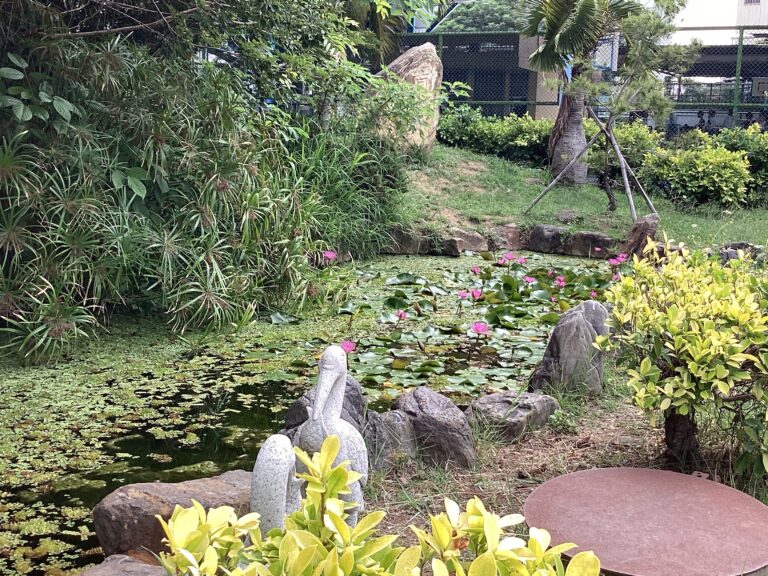 學生攝影作品欣賞：半畝仲夏