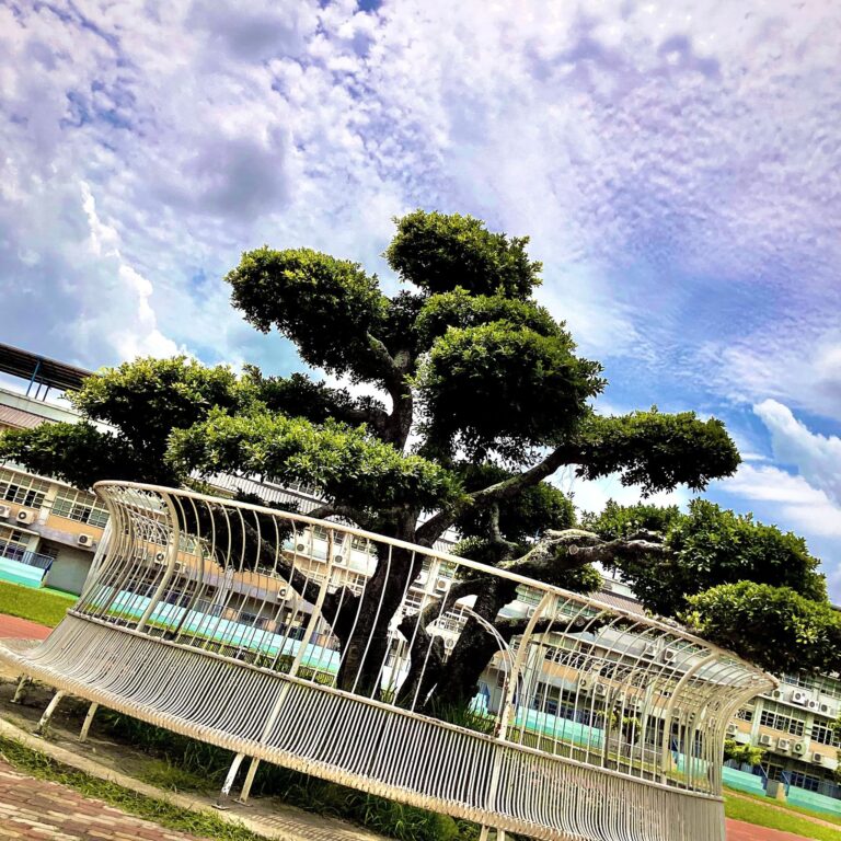 學生攝影作品欣賞：百年婉約